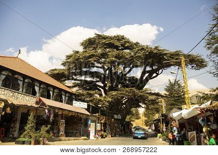 Bcharre, Lebanon - September 05, 2015: Trade, Cafe And Restaurant In The Shade Of The Old Cedar Alon