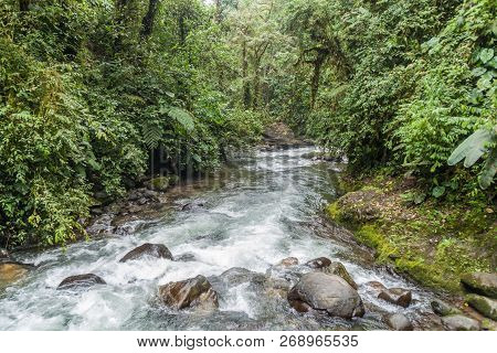 River In Nambillo Cloud Forest Reserve Near Mindo, Ecuador.