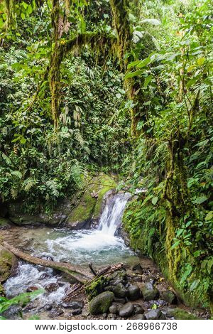 Small Waterfall In Nambillo Cloud Forest Reserve Near Mindo, Ecuador.