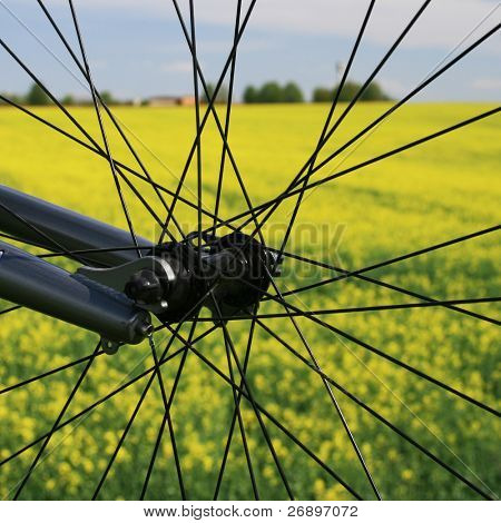 Fragmento de bicicleta de corrida moto