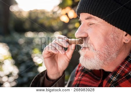 Nice Pleasant Man Smelling A Cuban Cigar