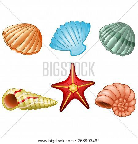 Vector Illustration Cartoon Of The Sea Shells And Sea Star