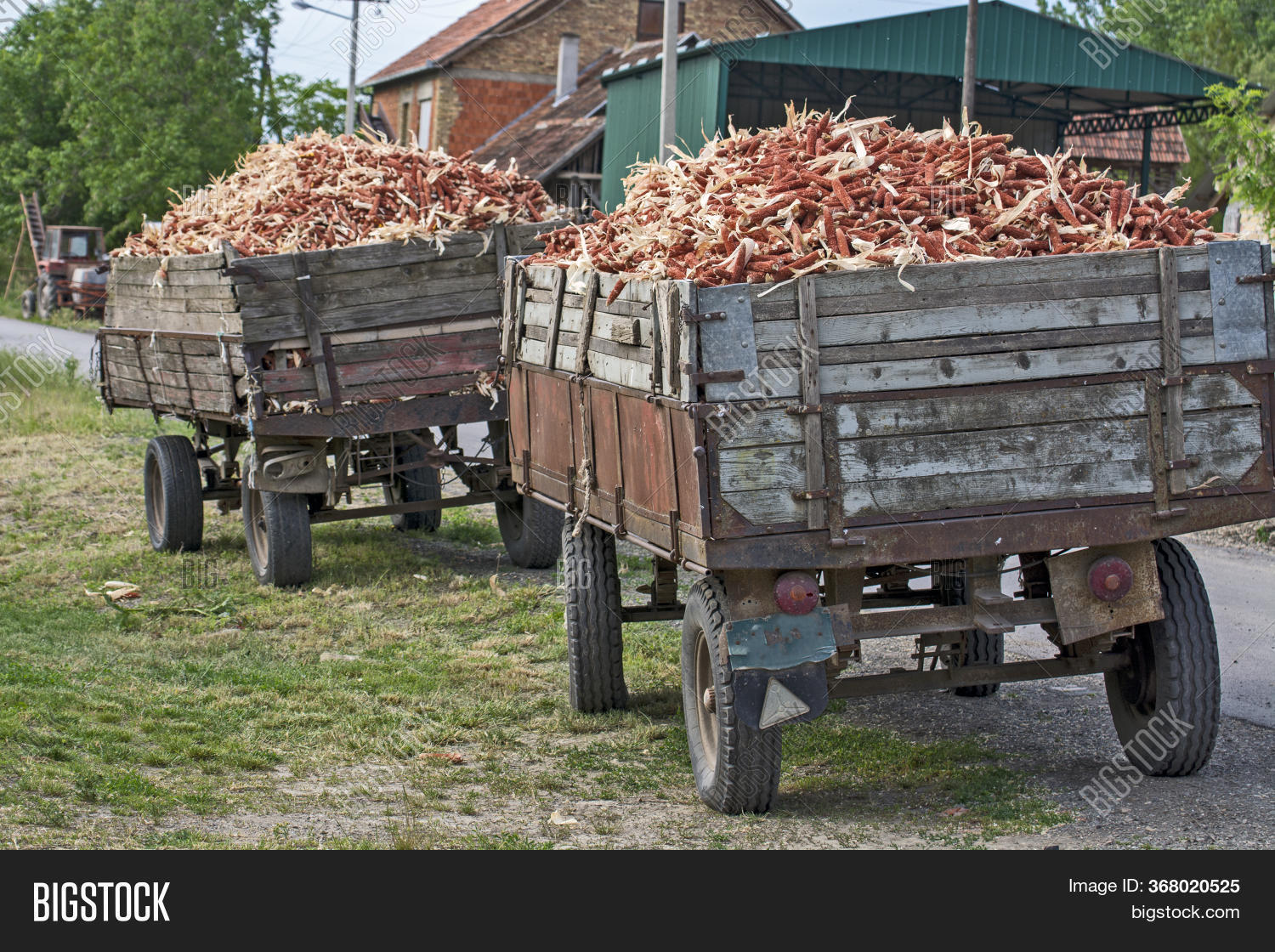 Corn Cob Waste Heating Image & Photo (Free Trial) Bigstock