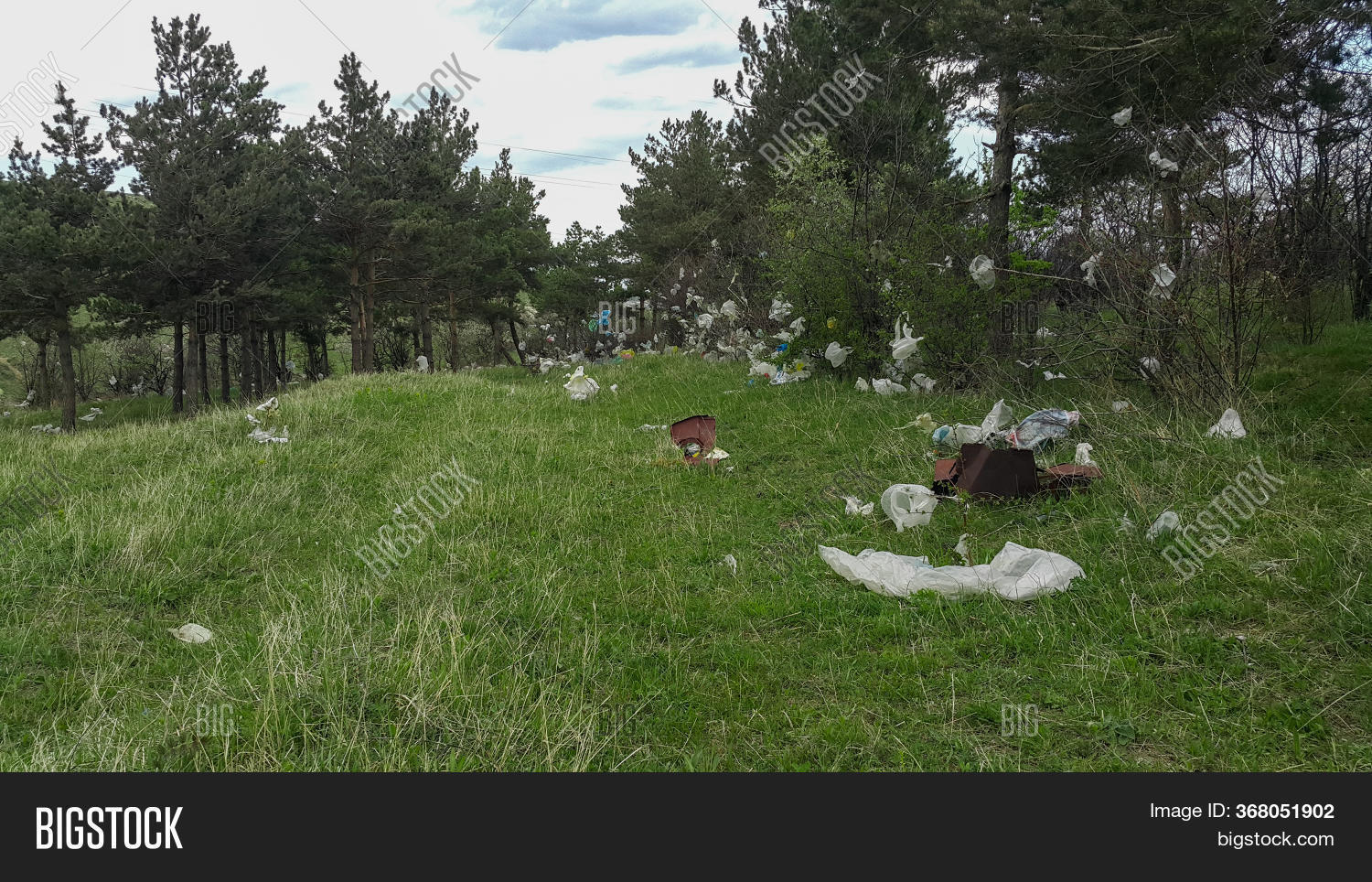 Plastic Bags Forest On Image & Photo (Free Trial) Bigstock
