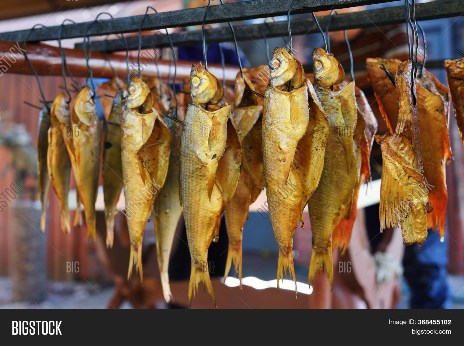 Рыбка висеть. Рыба прикол. Пещерные рыбы. Вяленая рыба висит. Рыбка висеть.