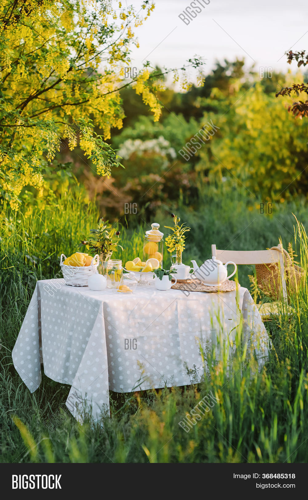 Picnic Outdoors. Image & Photo (Free Trial) Bigstock