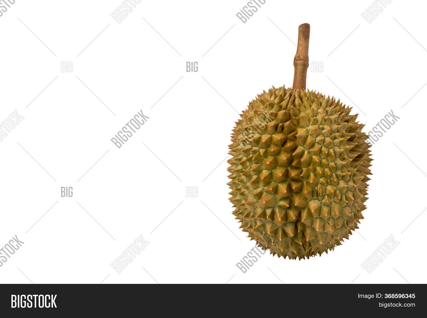 Fresh Durian Fruit Image & Photo (Free Trial) | Bigstock