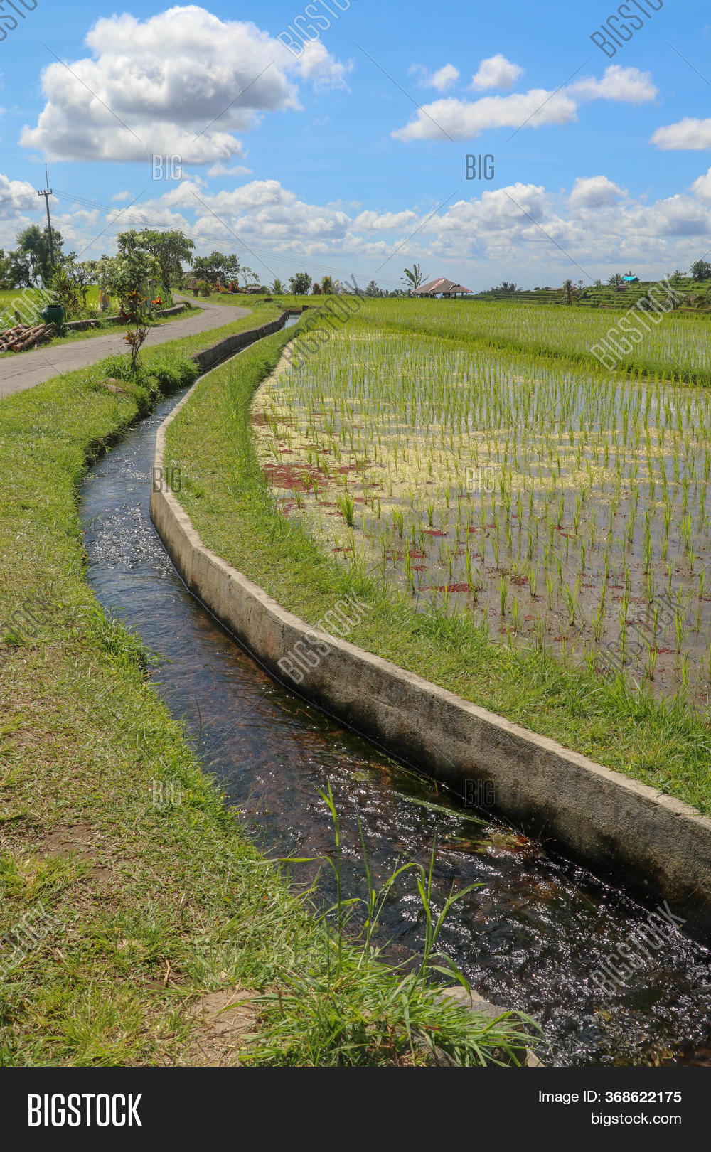 Irrigation Canal Image & Photo (Free Trial) Bigstock