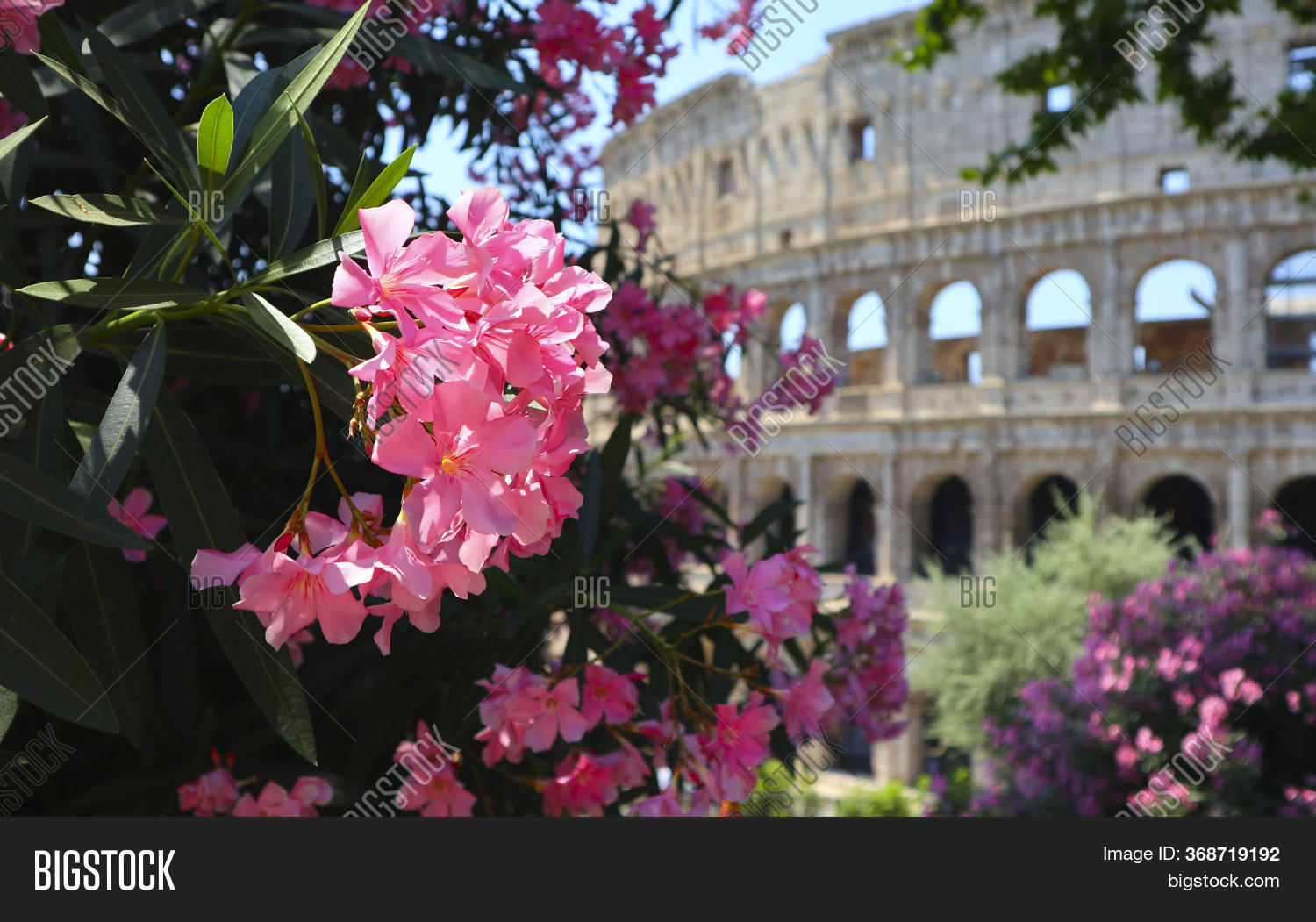 Spring Rome Italy, Image & Photo (Free Trial) Bigstock