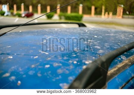 Car In Bird Droppings. Birds Polluted The Car. Blue Car In Bird Droppings. The Bird Shit On The Car