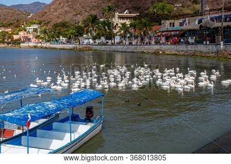 Chapala, Jalisco / Mexico, January 20th, 2020. Lake With Boats Anchored On The Shore, White Pelicans