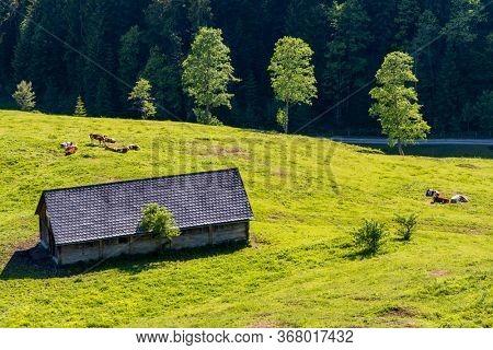 National Park Kalkalpen in Austria