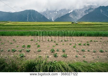 Farmland With Vegatable Field And Tractor Fertilizing The Field In Front Of Alp Mountains In Mieming
