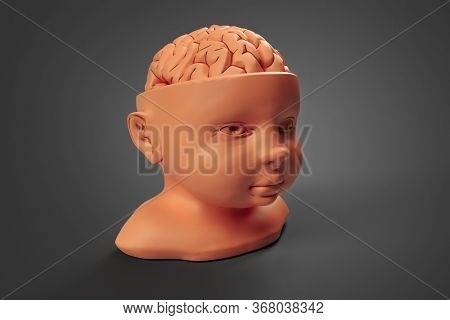 Clay model of the child's head and brain. Conceptual 3d illustration that can be used in many fields of science and medicine