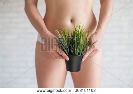 A Woman In White Panties Holds A Pot With A Bushy Plant On A Background Of Light Bricks. Refusal Of 