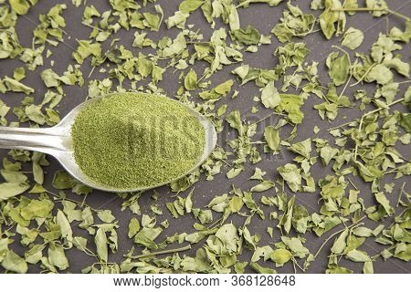 Moringa Leaves And Moringa Powder - Moringa Oleifera.