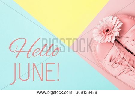 Hello June Text And Pink Gerbera Flower On Pastel Background. Hello June Concept