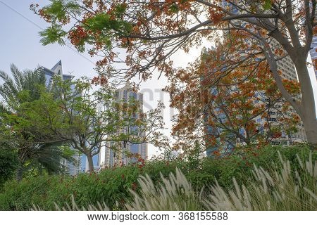 Dubai / Uae - May 26, 2020: View Of Jumeirah Lakes Towers Skyscrapers And Park With Many Green Trees