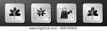 Set Leaf Or Leaves, Leaf Or Leaves, Watering Can And Leaf Or Leaves Icon. Silver Square Button. Vect