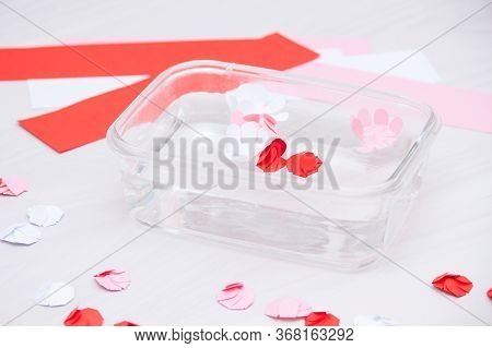 Close Paper Flowers Open In Water. Capillarity Effect. Science Education For Kids.