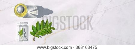Homeopathic Oil, Serum And Bottles With Plants Onon Marble Background. Concept Of Natural Organic Co