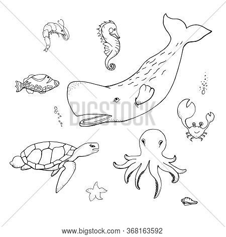 Ocean Animals Set: Sperm Whale, Sea Turtle, Octopus, Crab, Seahorse, Coral Fish, Shrimp, Starfish  I