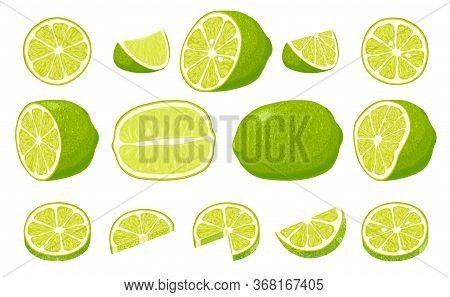 Fresh Limes With Leaves. Collection Of Different Lime Views.