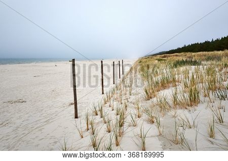 Dunes And Sandy Beach In Poland On The Baltic Sea