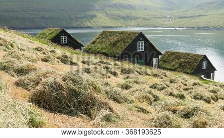 Picturesque view of tradicional faroese grass-covered houses in the village Bour during autumn. Vagar island, Faroe Islands, Denmark.