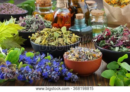 Bowls Of Dry Medicinal Herbs - Mistletoe, Wild Marjoram, Heather. Calendula Flowers, Bilberry Twigs 