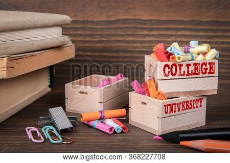 College And University Concept. Colored Papr Scrolls In Wooden Boxes On Dark Wooden Background