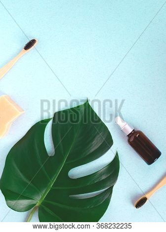 The Concept Of Zero Waste. Bamboo Toothbrush, Solid Shampoo And Manstera Branch.