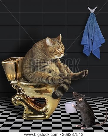 The Beige Cat Is Sitting On A Gold Toilet Bowl In The Bathroom. A Black Rat Gives Him A Roll Of Toil