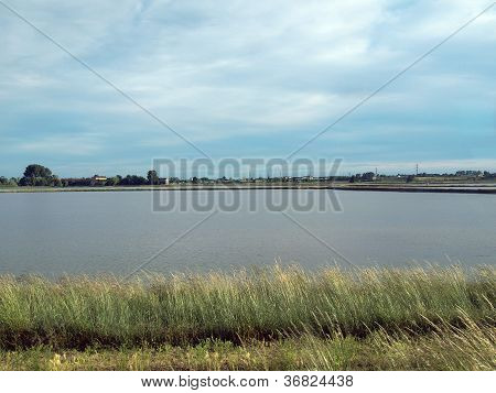 Paddy field