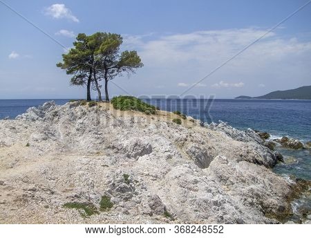 Trees At Amarantos Rocks At Skopelos Island At The Sporades In Greece