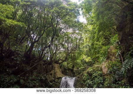 Walk And Discover The Prego Salto Waterfall On The Island Of Sao Miguel, Azores