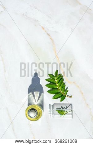 Homeopathic Oil, Serum And Bottles With Plants Onon Marble Background. Concept Of Natural Organic Co