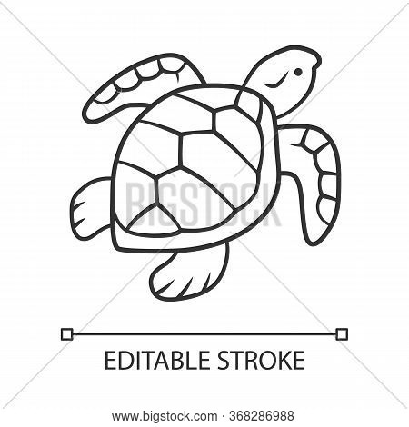 Turtle Linear Icon. Slow Moving Reptile With Scaly Shell. Aquatic Animal. Swimming Creature. Marine 