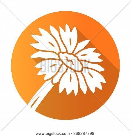 Blanket Flower Orange Flat Design Long Shadow Glyph Icon. Gaillardia Aristata Garden Plant. Arizona 
