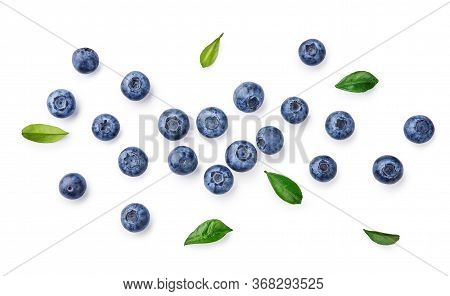 Fresh Blueberries With Bluberry Leaves Isolated On White Background. Top Vew.
