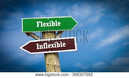 Street Sign The Direction Way To Flexible Versus Inflexible