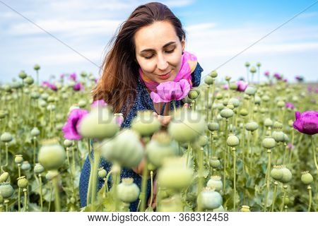 Beautiful Woman Smelling Flowers In Nature. Happy People Lifestyle. Woman Smelling Flowers In Sunshi