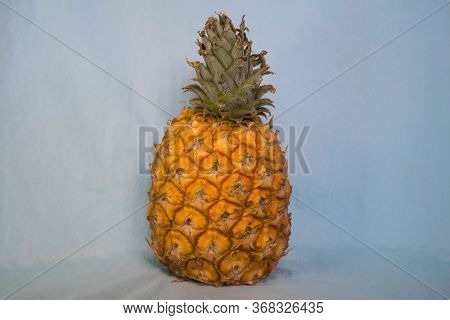 Isolated Juicy Pineapple On A Palid Blue Background