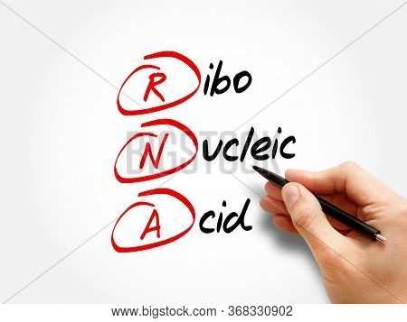 Rna - Ribonucleic Acid, Acronym Concept Background