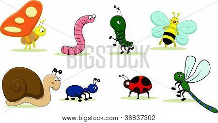 cute insects cartoon set