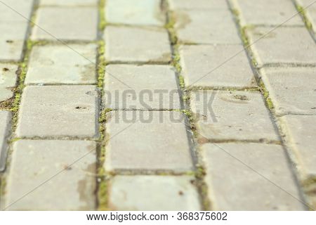 Cobblestones With Green Moss Between Tiles. The Pavement Going Into The Distance. The Background Of 