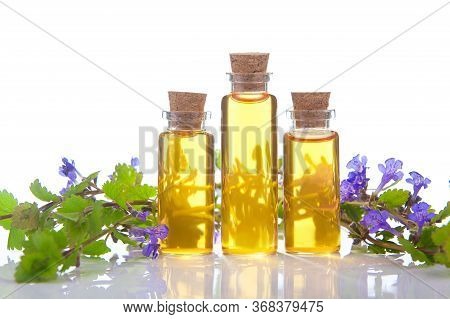 Bugleherb Essential Oil In A Beautiful Bottle On The White Background