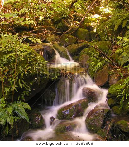 Cascate