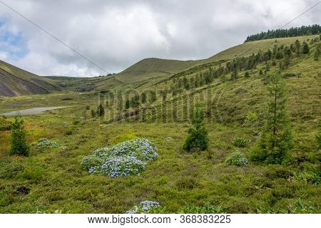 Walk On The Azores Archipelago. Discovery Of The Island Of Sao Miguel, Azores.