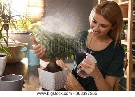 Young Woman Spraying Ficus Plant At Home. Engaging Hobby